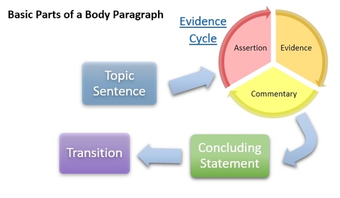 drafting body paragraphs of an essay should be done